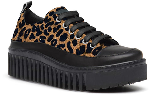 ART Brighton Sneaker Jaguar