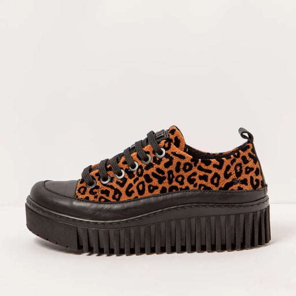 ART Brighton Sneaker Jaguar