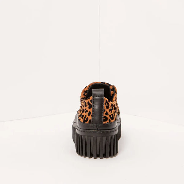 ART Brighton Sneaker Jaguar