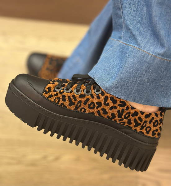 ART Brighton Sneaker Jaguar