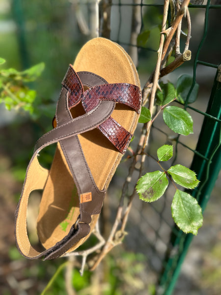 EL NATURALISTA Panglao Cross Sandal Snake Chocolate
