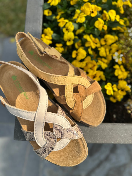 EL NATURALISTA Panglao Cross Sandal Snake Beige