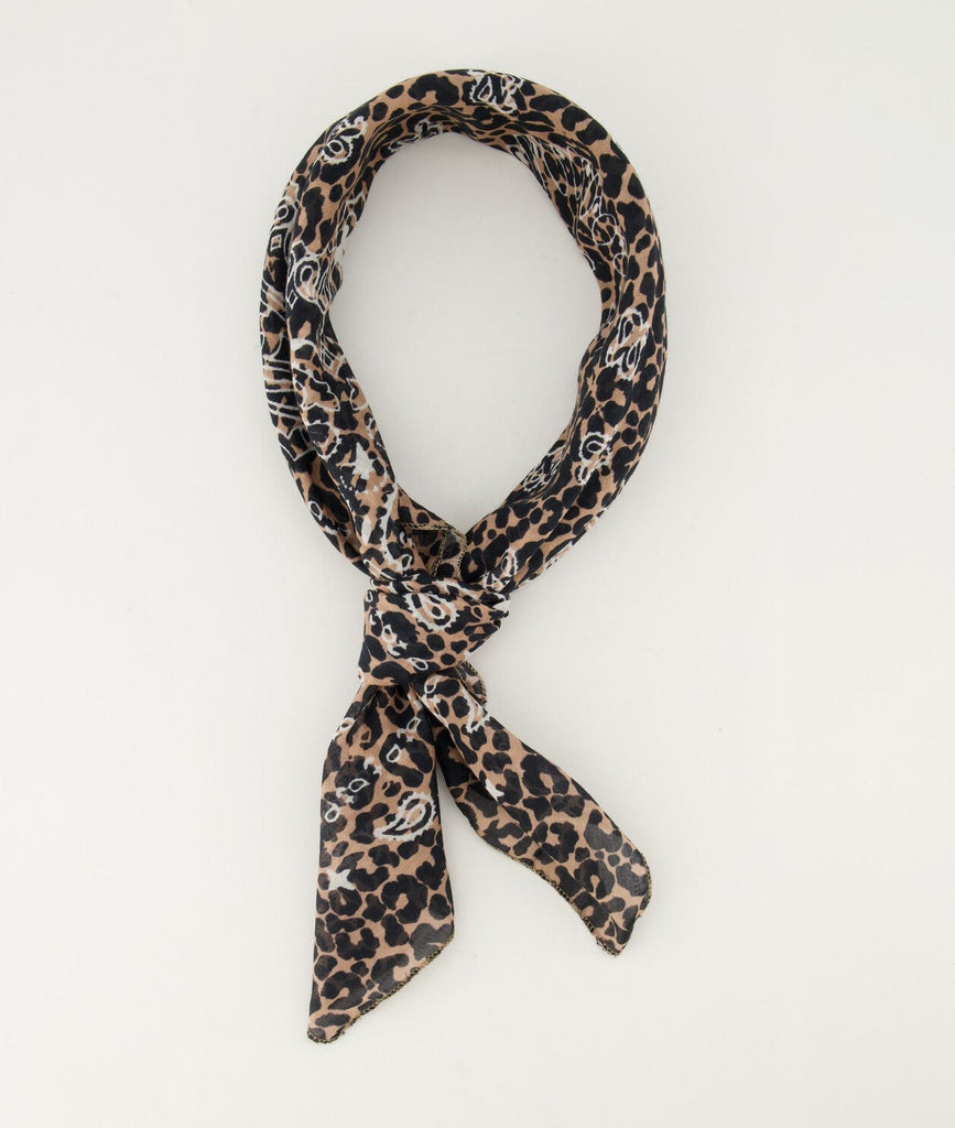 TARA leopard