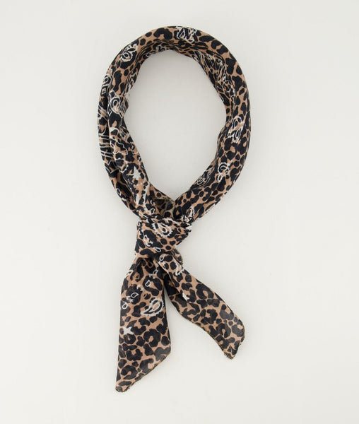 TARA leopard