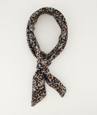 TARA leopard