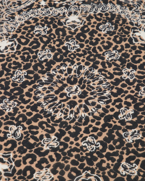 TARA leopard