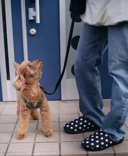 SUBU in-/outdoor slipper Dots (last pair: size 41-42!)