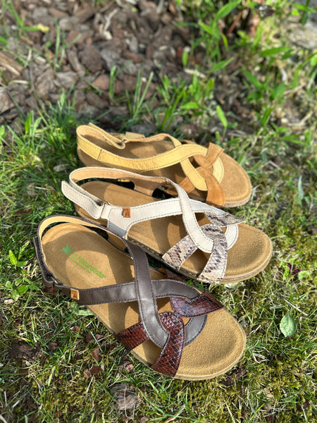 EL NATURALISTA Panglao Cross Sandal Snake Chocolate