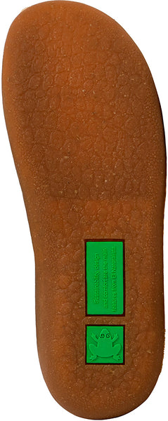 EL NATURALISTA Pawikan Forest